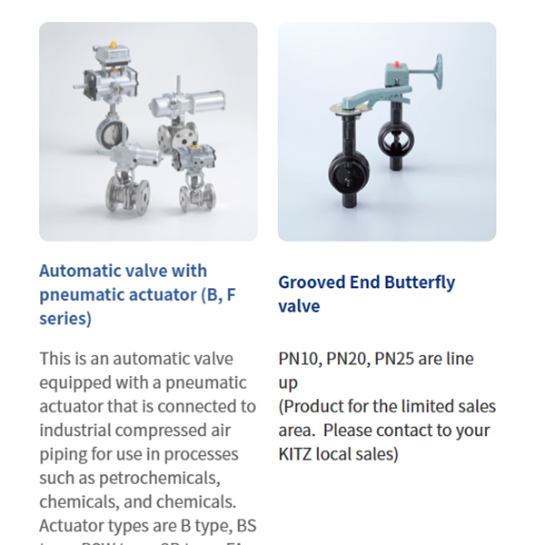 KITZ日本開滋閥門、10K電動蝶閥EXS100-10DJUE-100A