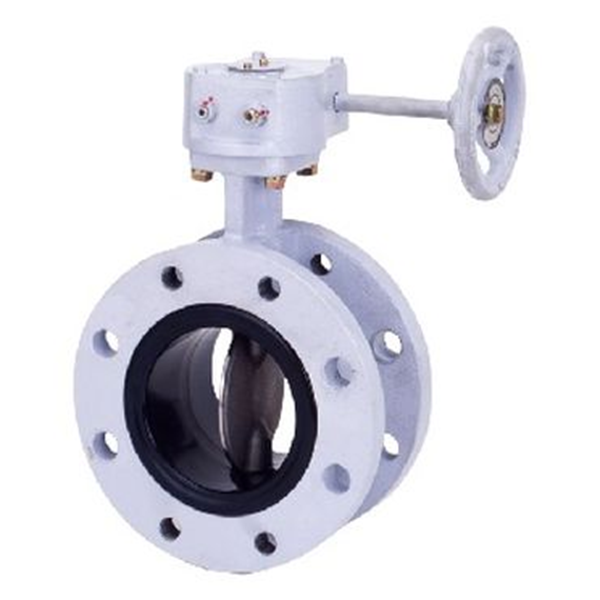 KITZ開滋球墨鑄鐵蝶閥VG-10NFJUE-80A