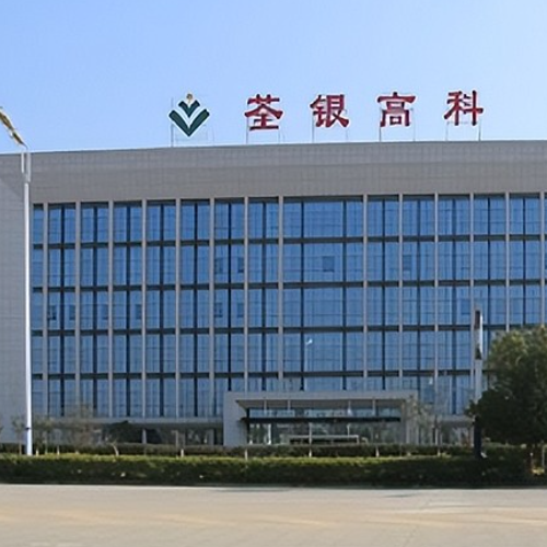 安徽荃銀高科種業股份有限公司.png 安徽荃銀高科種業股份有限公司.png