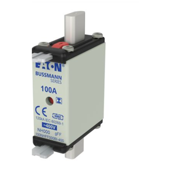 EATON伊頓Bussmann系列低壓 NH 型熔斷器  80NHG00B1-690